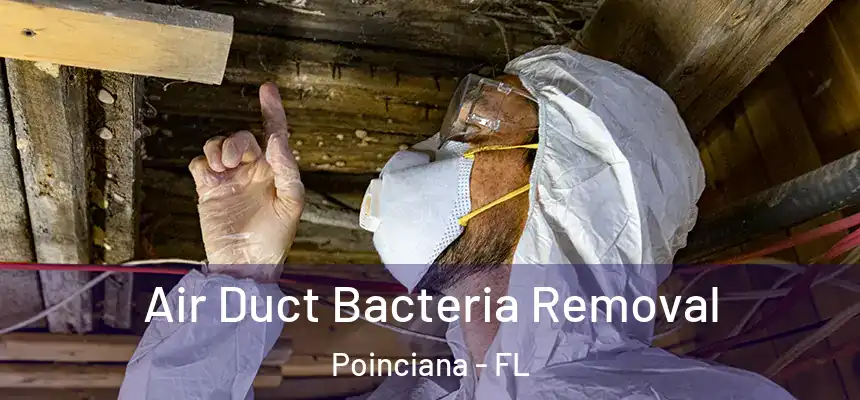 Air Duct Bacteria Removal Poinciana - FL