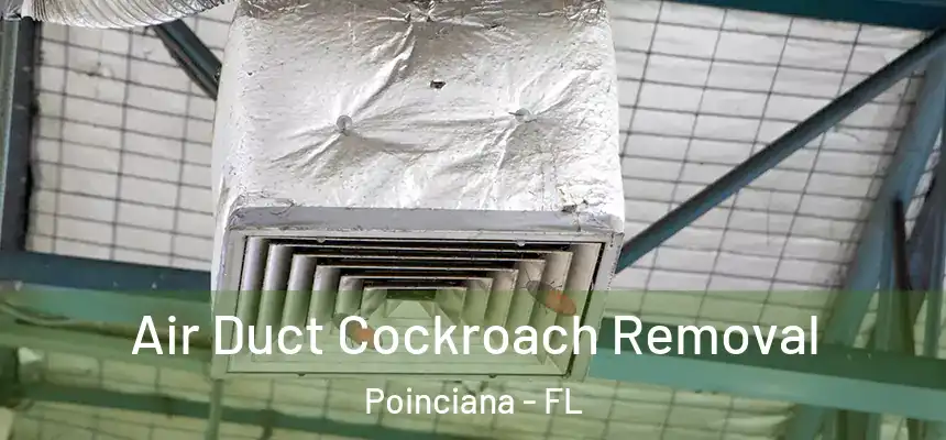 Air Duct Cockroach Removal Poinciana - FL