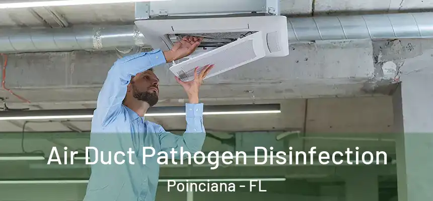 Air Duct Pathogen Disinfection Poinciana - FL