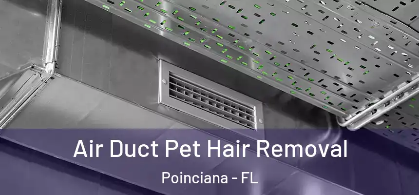  Air Duct Pet Hair Removal Poinciana - FL