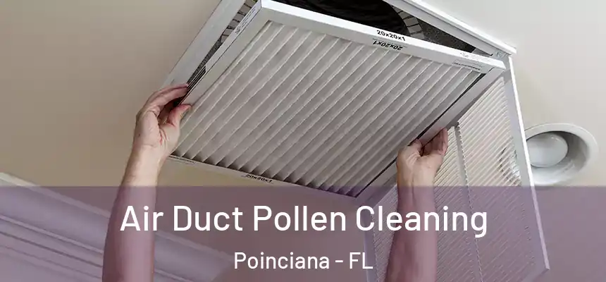 Air Duct Pollen Cleaning Poinciana - FL