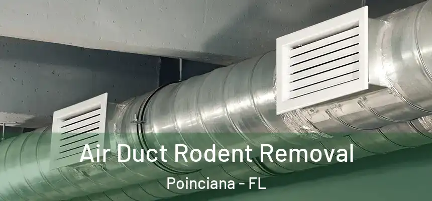 Air Duct Rodent Removal Poinciana - FL