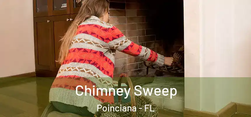  Chimney Sweep Poinciana - FL