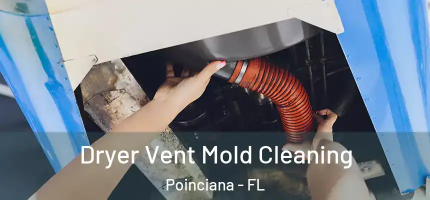  Dryer Vent Mold Cleaning Poinciana - FL