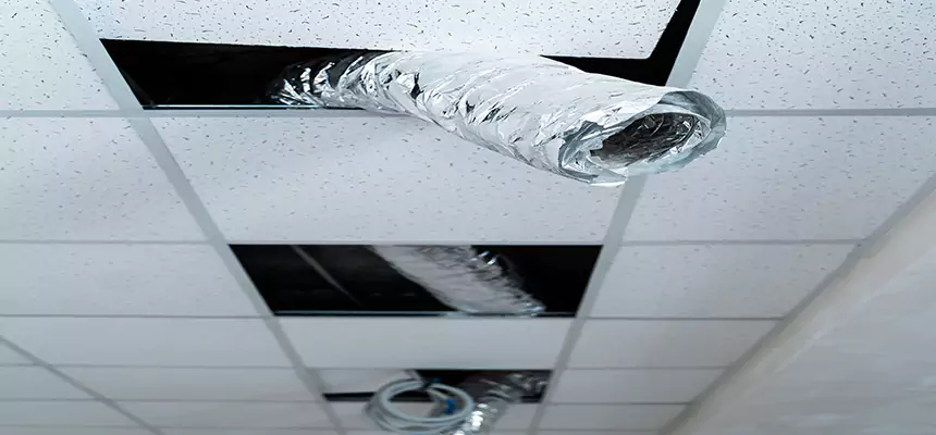 Our Air Duct Pet Hair Removal Services in Poinciana, FL