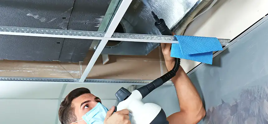 Our Air Duct Rodent Removal Services in Poinciana, FL