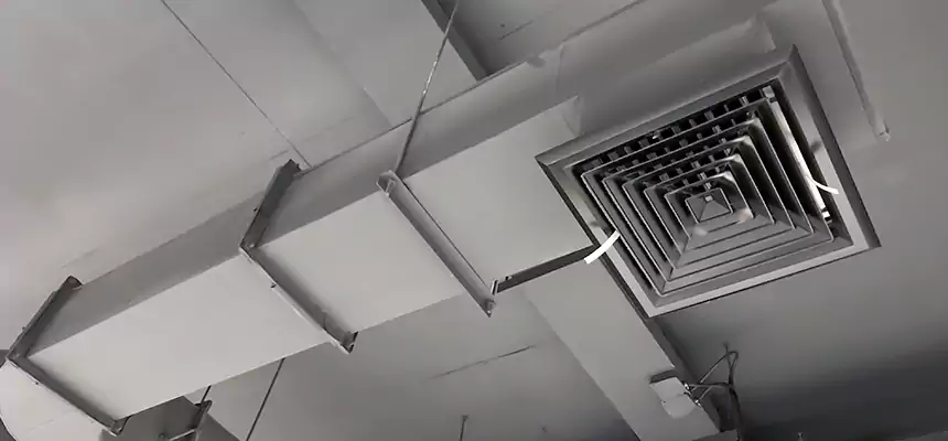 Our Pest Removal From Ducts Services in Poinciana, FL