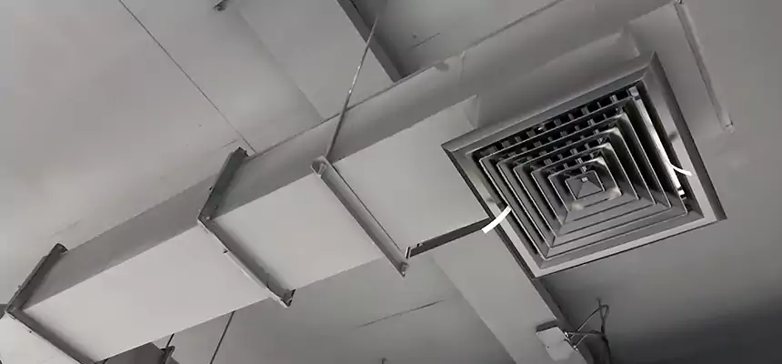 Our Rodent Droppings In Vents Services in Poinciana, FL