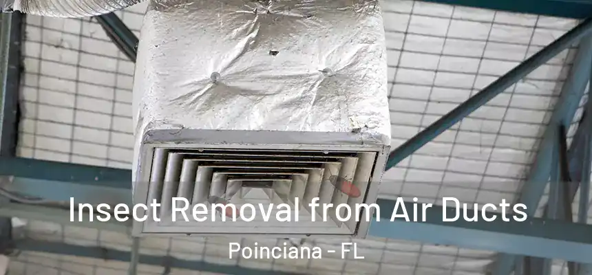 Insect Removal from Air Ducts Poinciana - FL