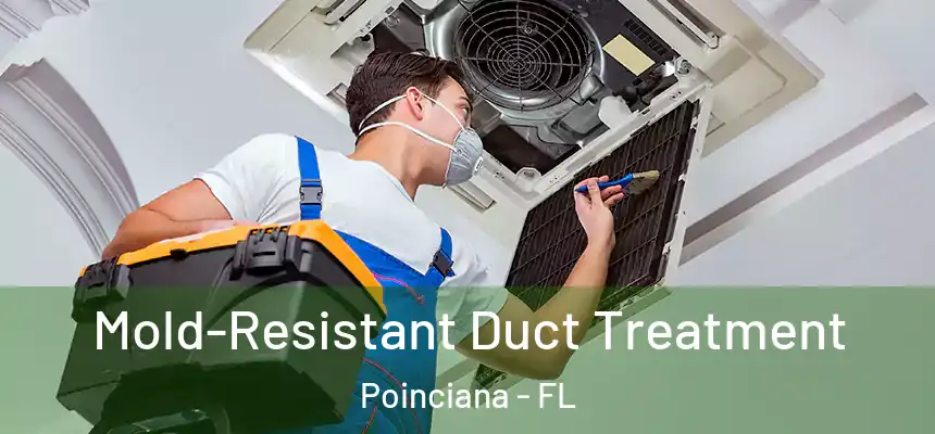  Mold-Resistant Duct Treatment Poinciana - FL