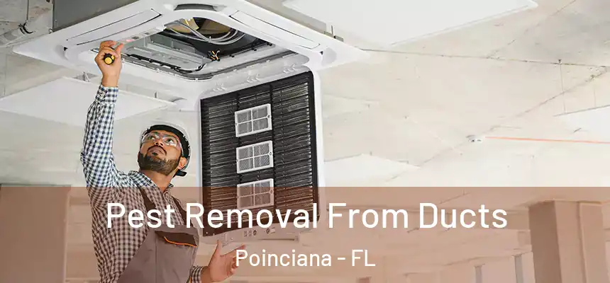  Pest Removal From Ducts Poinciana - FL