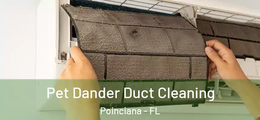 Pet Dander Duct Cleaning Poinciana - FL