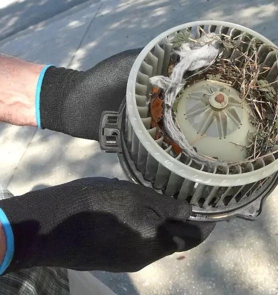 About Air Duct Rat Removal in Poinciana, FL