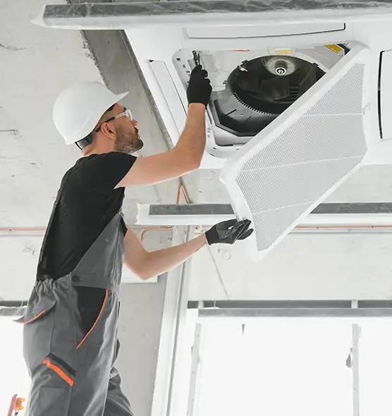 About Air Duct Rodent Removal in Poinciana, FL