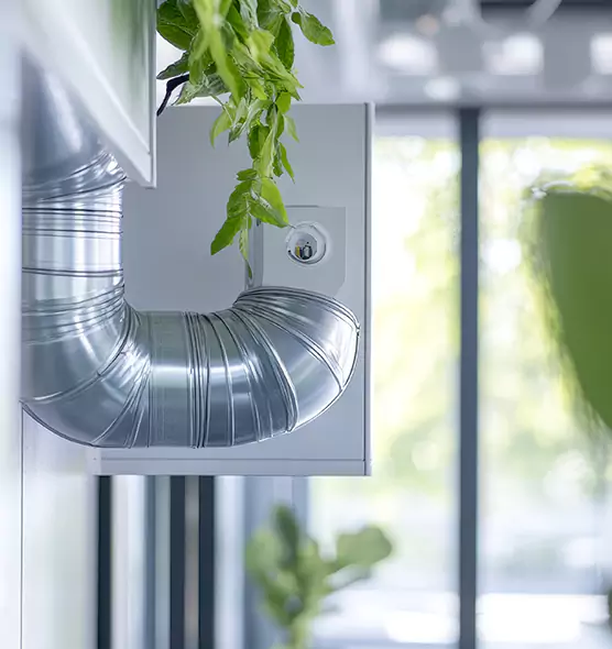 Professional Eco-Friendly Duct Cleaning Services in Poinciana, FL