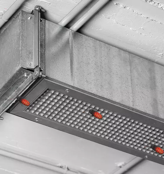 Affordable Insect Removal from Air Ducts in Poinciana, FL