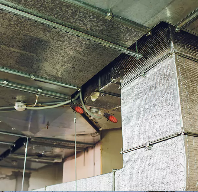 Why Homeowners & Businesses Trust Us in Poinciana, FL?