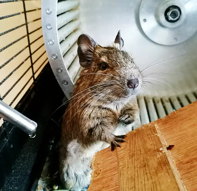 Why Homeowners & Businesses Trust Us Poinciana, FL?