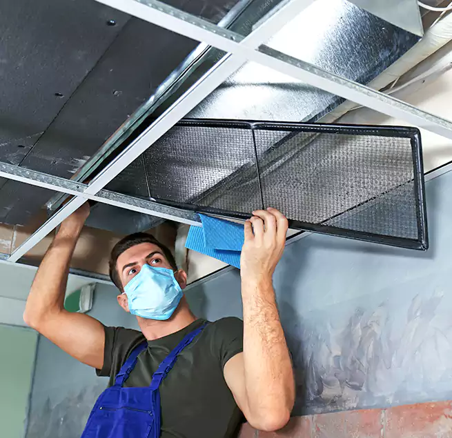 Why Homeowners Businesses Trust Us in Poinciana, FL