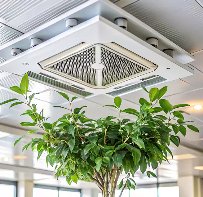 Why Homeowners & Businesses Trust Us in Poinciana, FL?