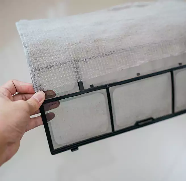 Why Homeowners & Businesses Trust Us in Poinciana, FL?