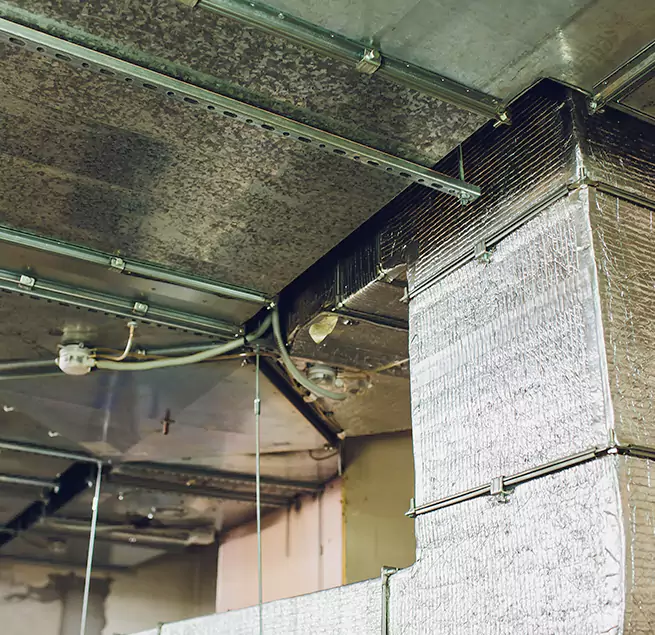 Why Homeowners & Businesses Trust Us in Poinciana, FL?